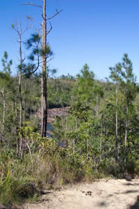 Belize Cuture Tours to Mountain Pine Ridge