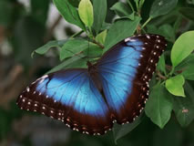Belize Cuture Tours